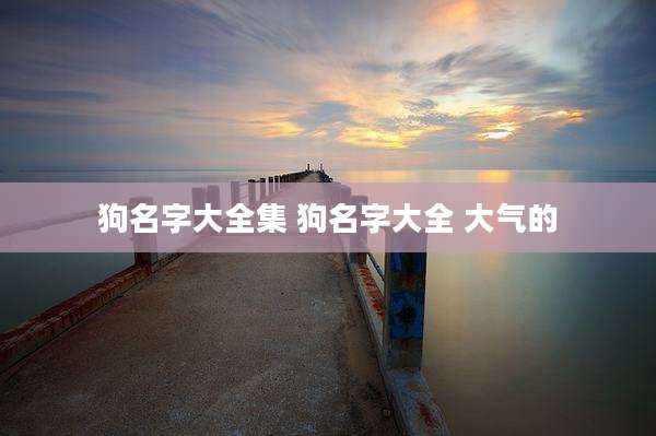 狗名字大全集 狗名字大全 大气的