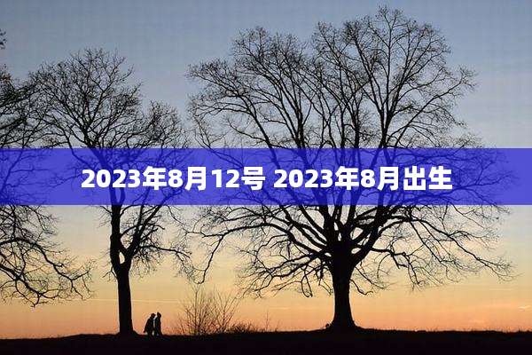 2023年8月12号 2023年8月出生