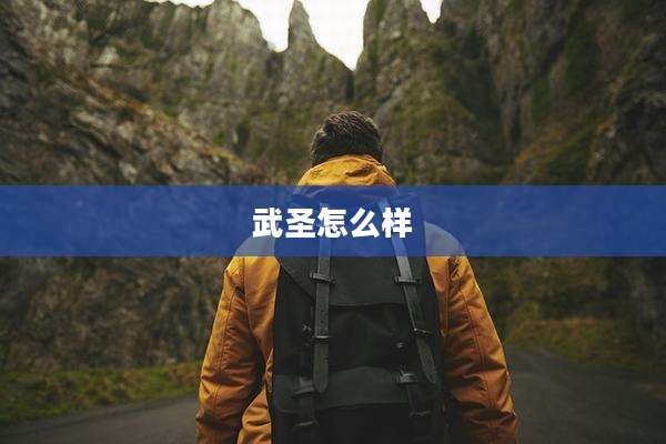 武圣怎么样