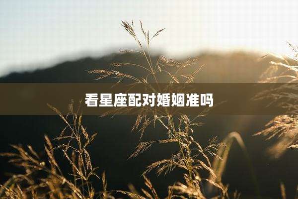 看星座配对婚姻准吗