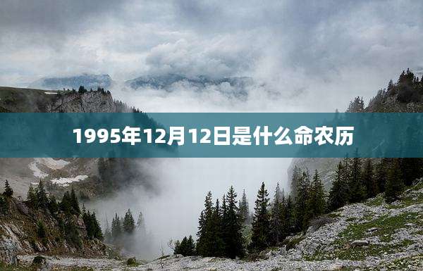 1995年12月12日是什么命农历