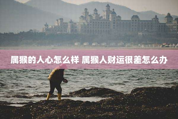属猴的人心怎么样 属猴人财运很差怎么办