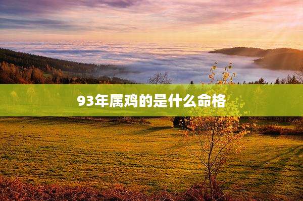 93年属鸡的是什么命格