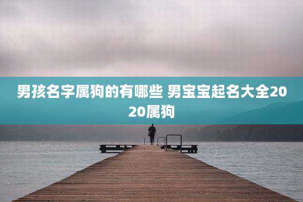 男孩名字属狗的有哪些 男宝宝起名大全2020属狗