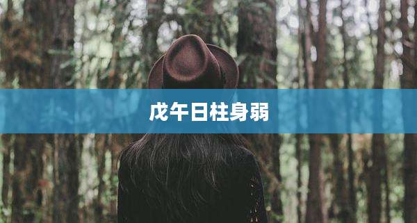 戊午日柱身弱