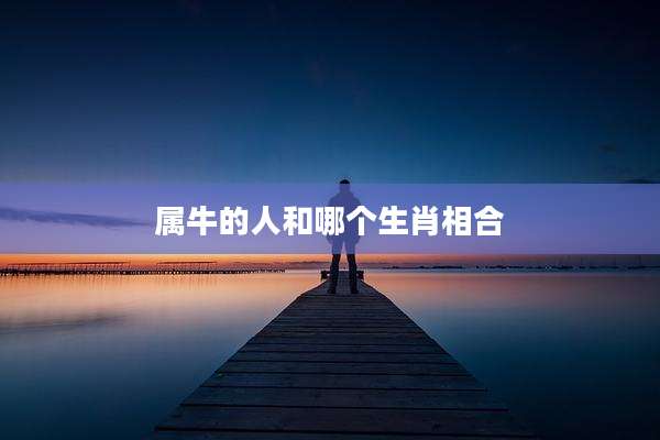 属牛的人和哪个生肖相合