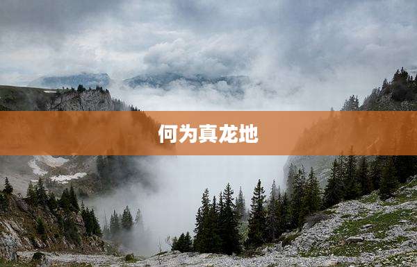 何为真龙地
