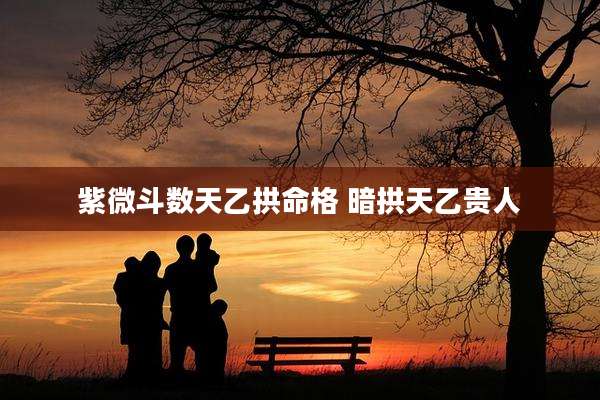 紫微斗数天乙拱命格 暗拱天乙贵人