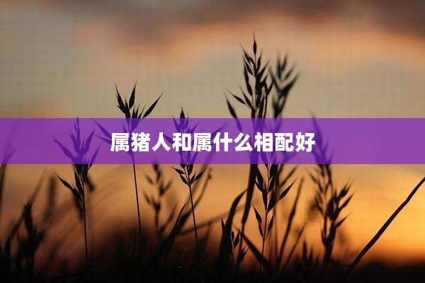 属猪人和属什么相配好
