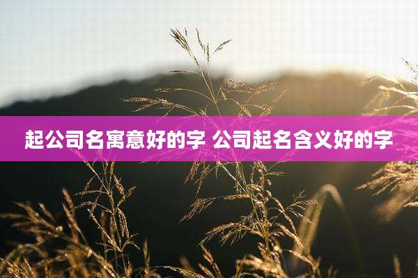 起公司名寓意好的字 公司起名含义好的字