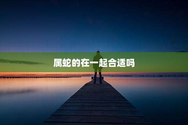 属蛇的在一起合适吗