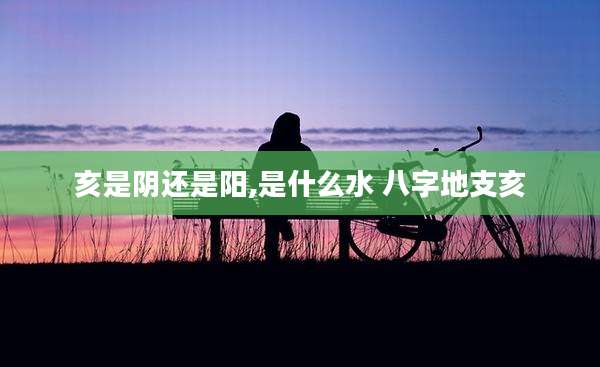 亥是阴还是阳,是什么水 八字地支亥
