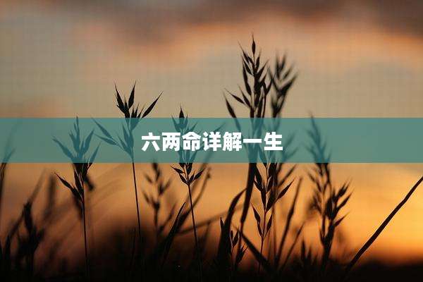 六两命详解一生