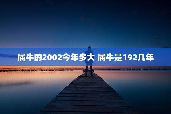 属牛的2002今年多大 属牛是192几年