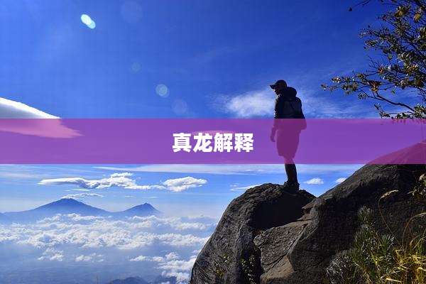 真龙解释
