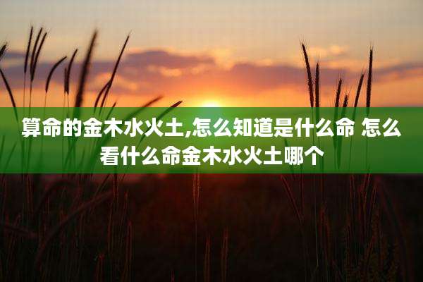 算命的金木水火土,怎么知道是什么命 怎么看什么命金木水火土哪个