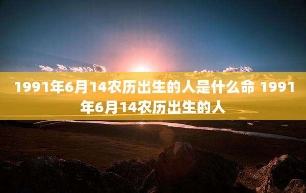 1991年6月14农历出生的人是什么命 1991年6月14农历出生的人