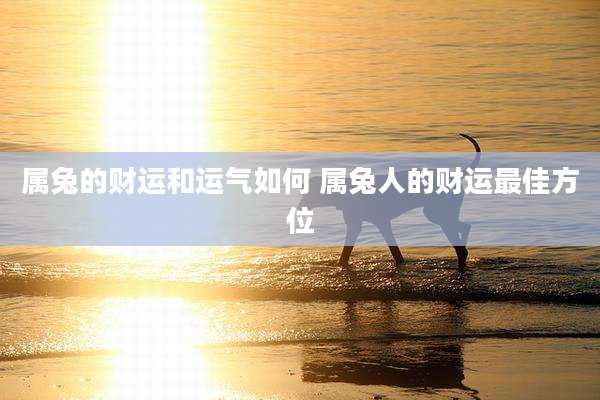属兔的财运和运气如何 属兔人的财运最佳方位