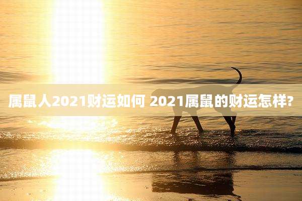 属鼠人2021财运如何 2021属鼠的财运怎样?