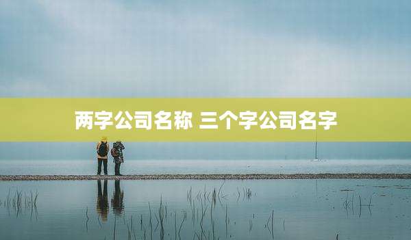 两字公司名称 三个字公司名字