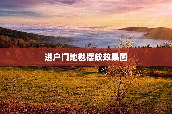 进户门地毯摆放效果图