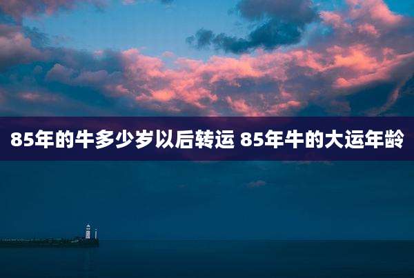 85年的牛多少岁以后转运 85年牛的大运年龄