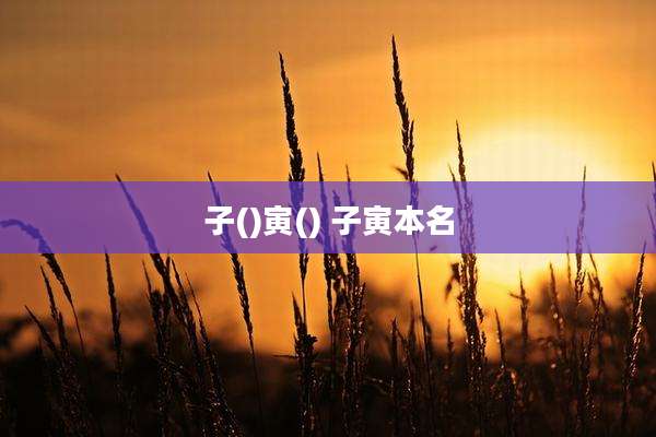 子()寅() 子寅本名