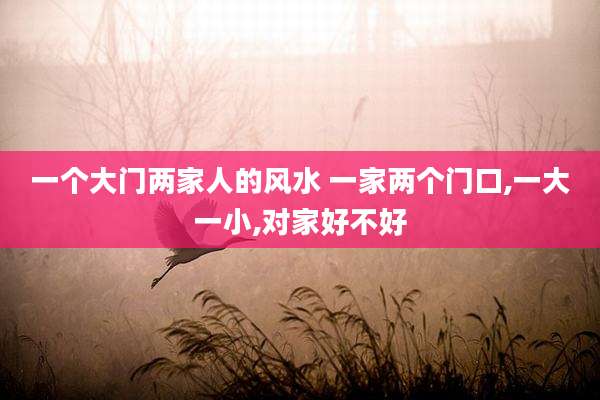一个大门两家人的风水 一家两个门口,一大一小,对家好不好