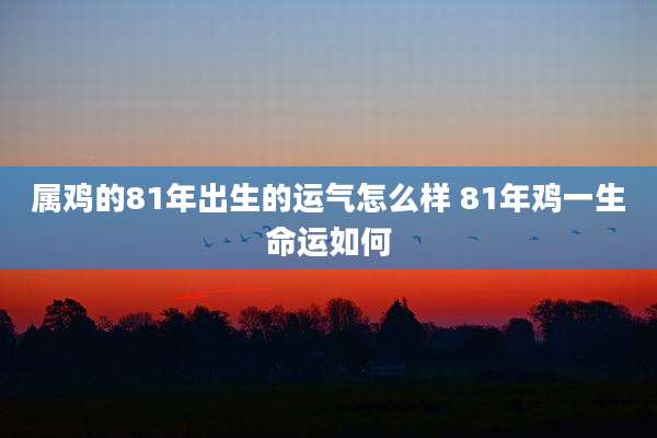 属鸡的81年出生的运气怎么样 81年鸡一生命运如何