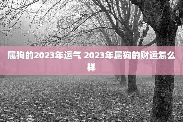 属狗的2023年运气 2023年属狗的财运怎么样