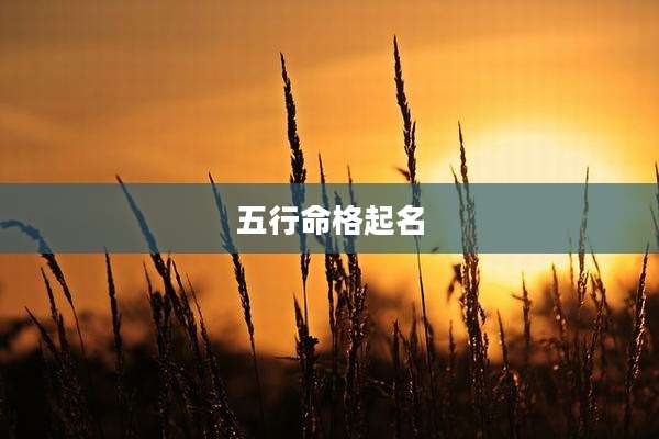 五行命格起名