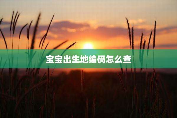 宝宝出生地编码怎么查