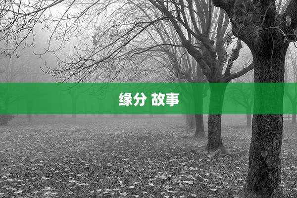 缘分 故事