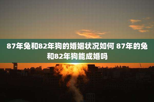 87年兔和82年狗的婚姻状况如何 87年的兔和82年狗能成婚吗