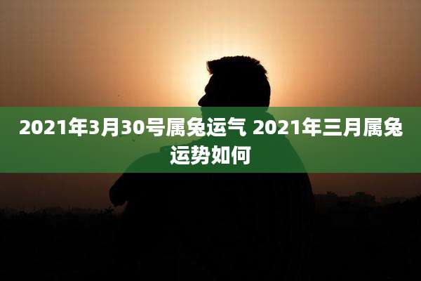 2021年3月30号属兔运气 2021年三月属兔运势如何