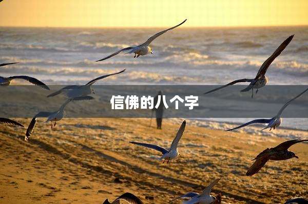 信佛的八个字