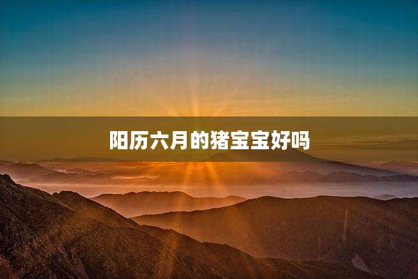阳历六月的猪宝宝好吗