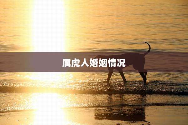 属虎人婚姻情况