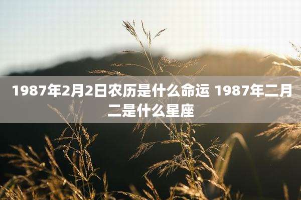 1987年2月2日农历是什么命运 1987年二月二是什么星座