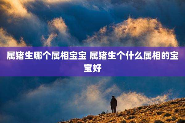 属猪生哪个属相宝宝 属猪生个什么属相的宝宝好