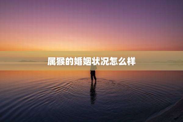 属猴的婚姻状况怎么样