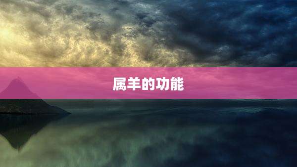 属羊的功能