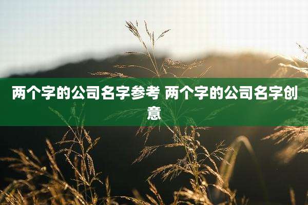 两个字的公司名字参考 两个字的公司名字创意