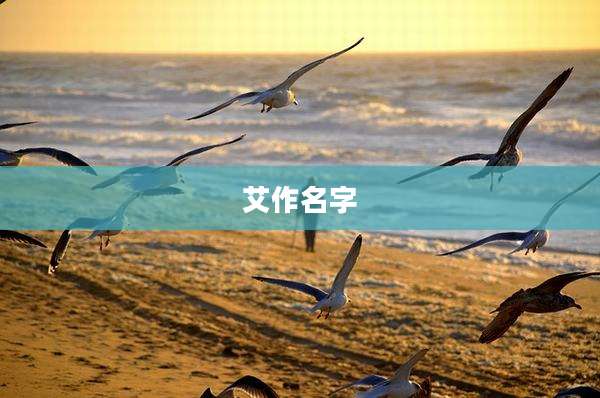 艾作名字