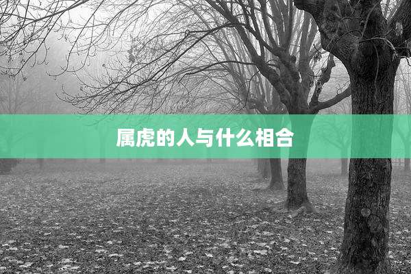 属虎的人与什么相合