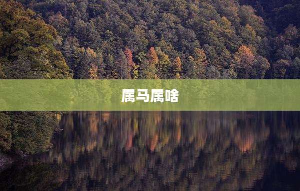 属马属啥