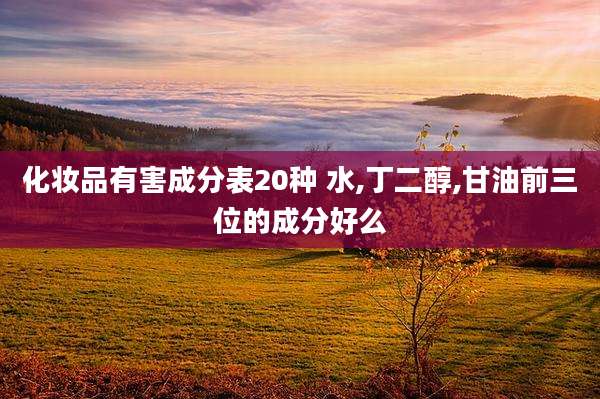 化妆品有害成分表20种 水,丁二醇,甘油前三位的成分好么