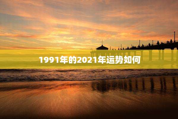 1991年的2021年运势如何