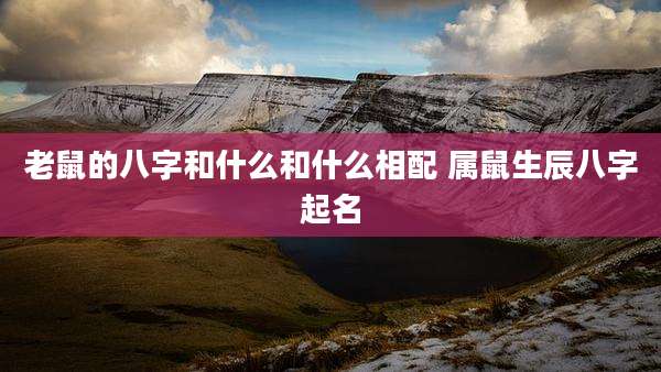 老鼠的八字和什么和什么相配 属鼠生辰八字起名