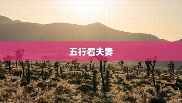 五行看夫妻